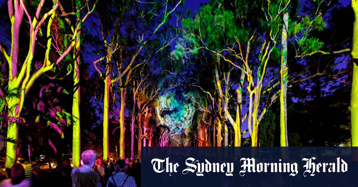 Boorna Waanginy returns to Kings Park for EverNow Festival - Vimarsana News