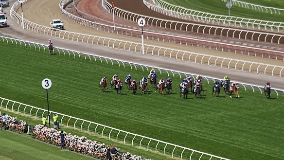 Anthony Van Dyck (at the back of the field) pulls out at the top of the straight in the Melbourne Cup.