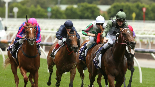 Yes man: Jockey Mark Zahra rides Yes Yes Yes (right) to victory at Flemington in December.