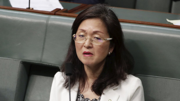 Liberal MP Gladys Liu contributed at least $100,000 to her own election campaign.