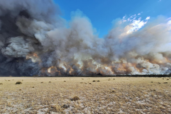 The Little Desert fire has burnt more than 90,000 hectares, or two-thirds of the national park.