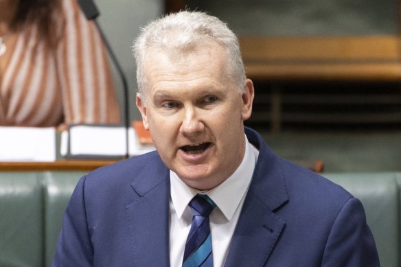 Minister for Employment and Workplace Relations Tony Burke during question time this week.