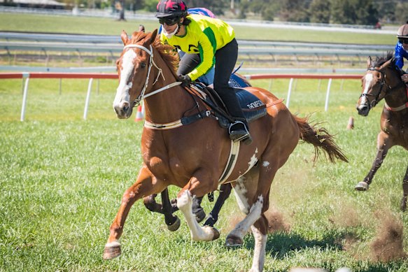 Apprentice jockey Marina Morel.