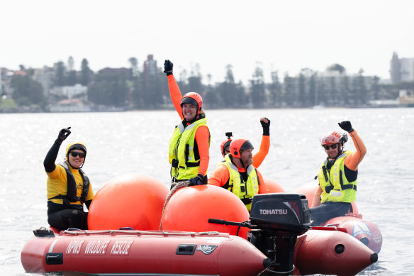 The moment rescue workers realise they have successfully freed the juvenile whale that had become entangled in fishing tackle.