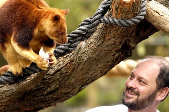 Tim Flannery with a Goodfellows Tree Kangaroo at Melbourne Zoo in November, 2002.