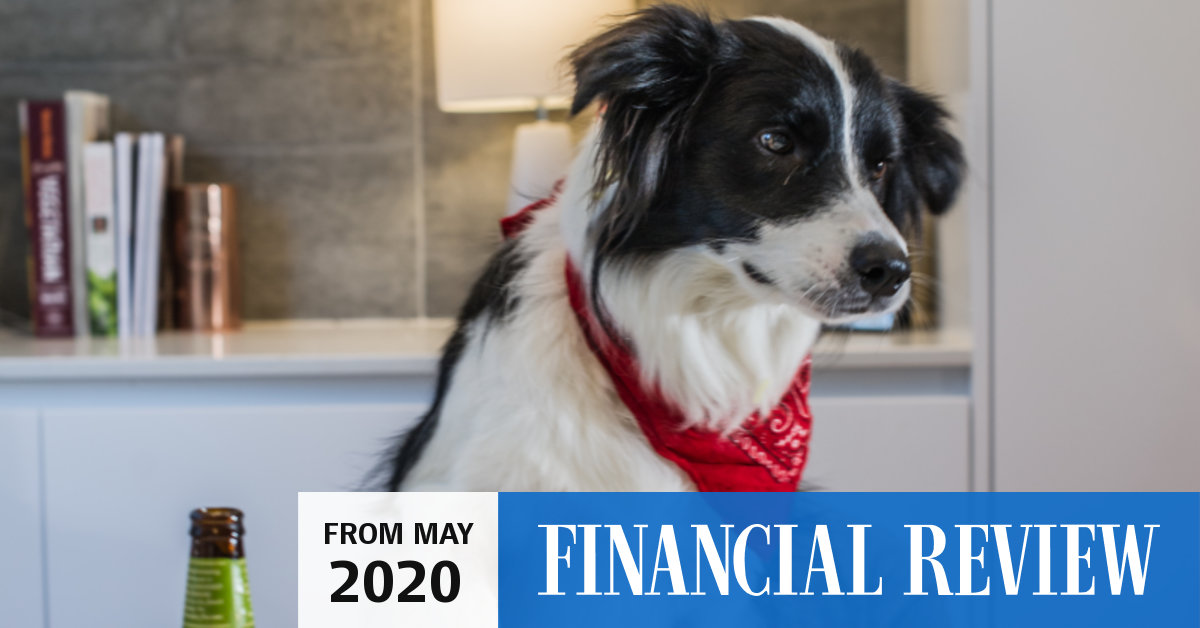 farmers market dog food woolworths