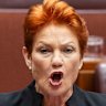 One Nation wins big, Pocock no longer kingmaker: A field guide to the new Senate