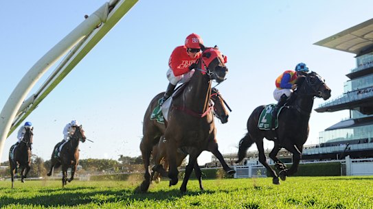 Redzel on the rails holds off the fast-finishing Pierata in the Concorde Stakes.