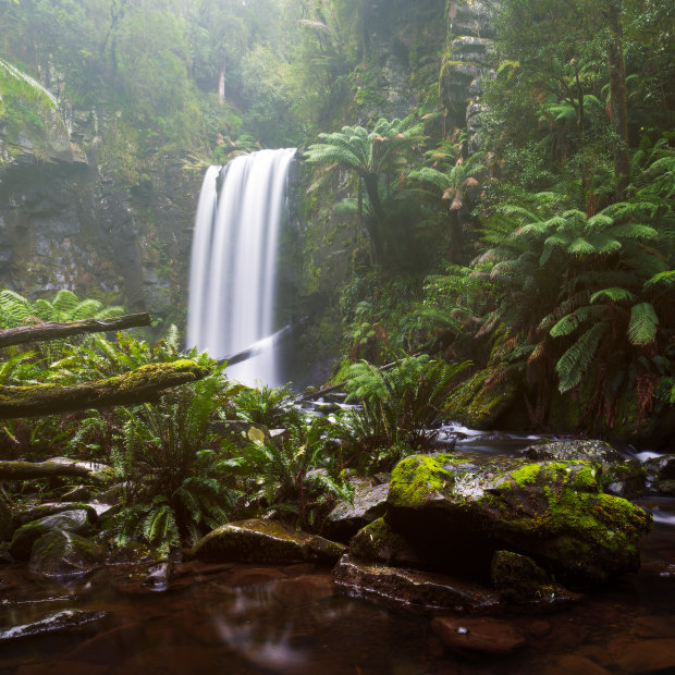 Wilderness in the Great Otway National Park in Victoria. “One of our main tasks now … is to understand this moment, what it might require of us," says American writer Rebecca Solnit. 