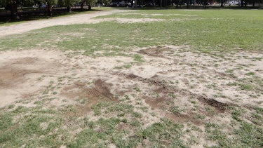 Saving Moore Park say the parklands have been "neglected" for over three decades. 