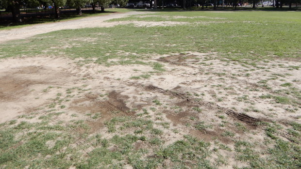 Saving Moore Park say the parklands have been "neglected" for over three decades. 