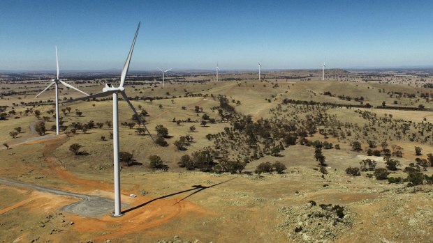Coonooer Bridge Wind Farm, which generates electricity for the ACT, has been named the best performing wind farm in Australia this year. 