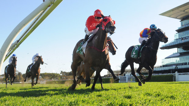 Redzel on the rails holds off the fast-finishing Pierata in the Concorde Stakes.