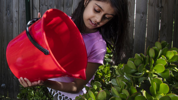 Watering from a bucket is mandatory in Sydney under level 2 water restrictions.