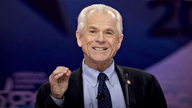 Peter Navarro says the fictional character was a "whimsical device" he used in his books.