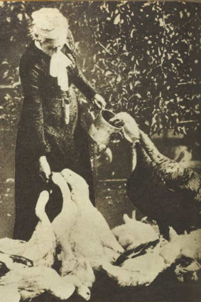 MRS. MARY GRANT ROBERTS feeding some of her flock in a section of her gardens and private zoo in Hobart 