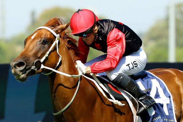 Opal Ridge is selected to win the Luskin Star Stakes.