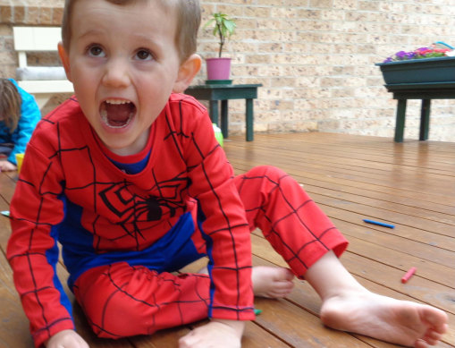 William Tyrrell vanished from his foster grandmother’s home on the NSW Mid North Coast in 2014.