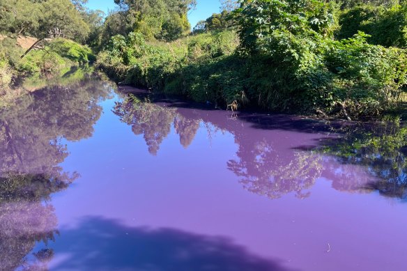 An unknown source of pollution turned Duck River purple during the week and the Environment Protection Authority has begun investigations to find cause.