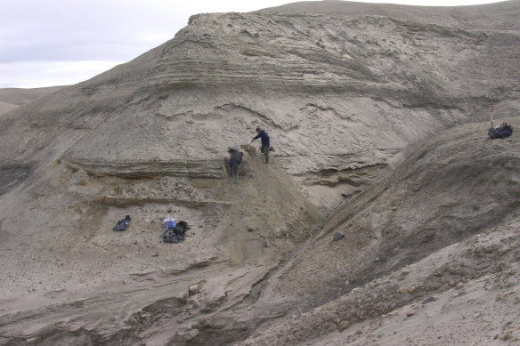 Professors Eske Willerslev and Kurt H. Kjaer expose fresh layers for sampling of sediments at Kap Kobenhavn, Greenland. 