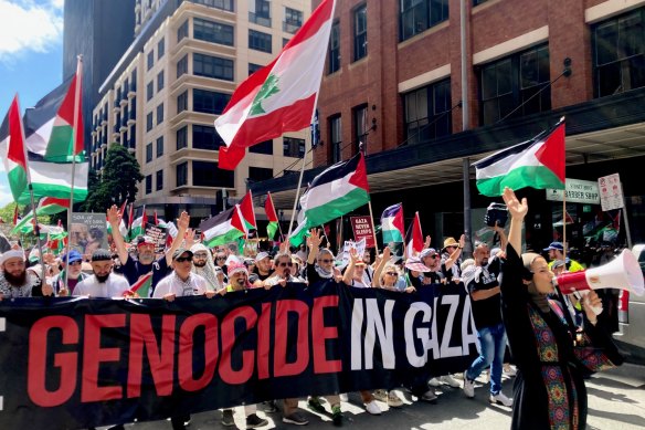 Pro-Palestinian protesters take to Sydney streets in the first rally since fighting resumed in Gaza.