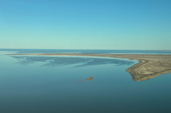 The lake will soon be busy with local bird life.