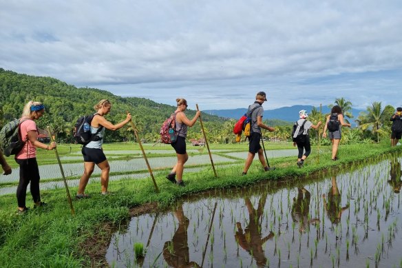 Astungkara Way offers interactive tourism experiences teaching about rice’s natural life cycle.