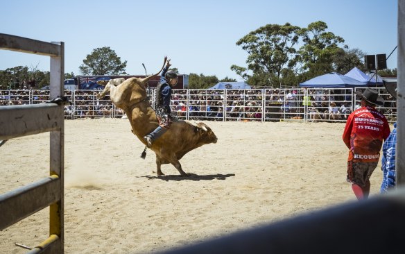 Corbin Mundy, 19, stayed in the saddle for the allotted eight seconds in the second division bull ride competition at Bunyip Rodeo.