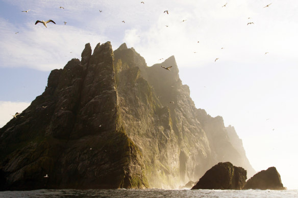 Some of the UK’s largest seabird colonies gather here.