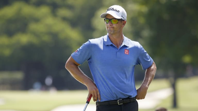 Absentee: Adam Scott has been in Sydney this week but won't tee it up at the Australian Open.