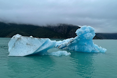 Seen is one of the bright blue icebergs we passed on the way to the glacier.