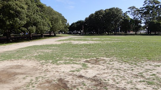 Saving Moore Park say the parklands have been "neglected" for over three decades. 