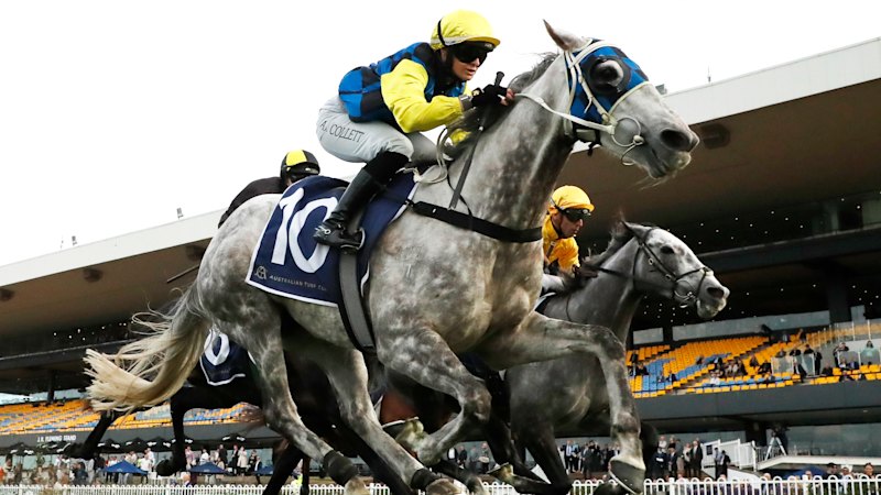 Tips and race-by-race preview for Rosehill on Saturday