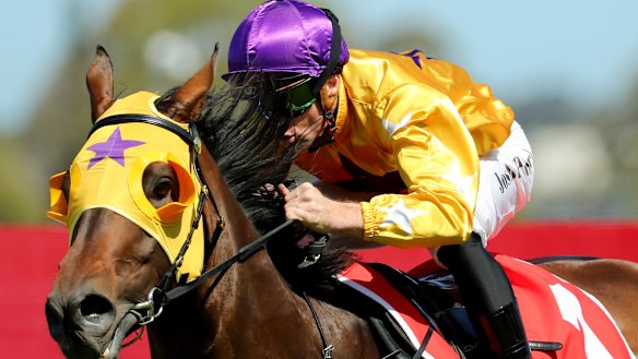 Peter and Paul Snowden have dominated the pre-Christmas two-year-old ...