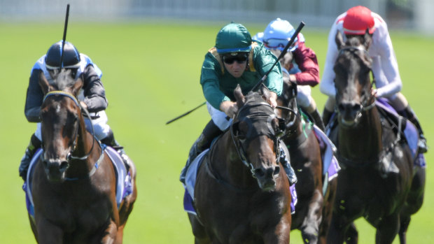 Going for gold: Leviathan booked a trip to the Gold Coast with his  impressive win at Randwick.
