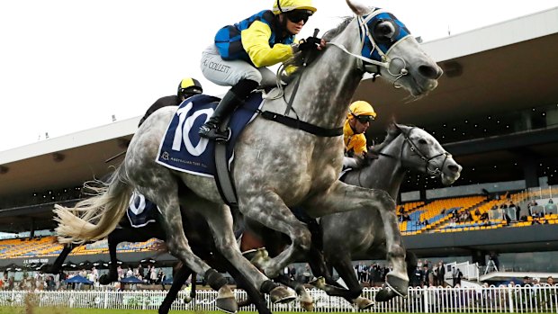 Alysha Collectes wins on the bacio of fog.