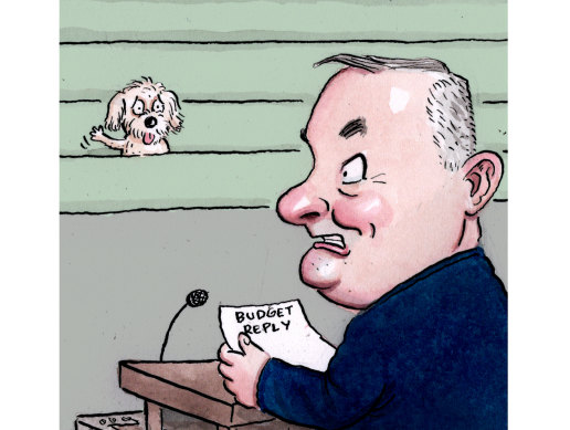 Anthony Albanese.