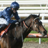 Country racing comes to town for Oaks Day