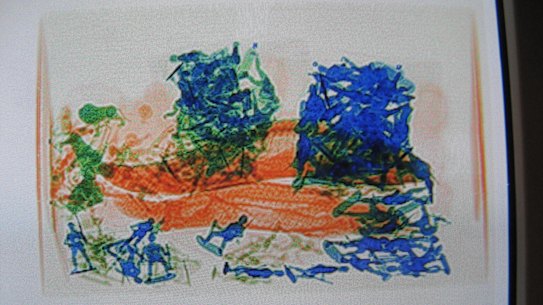 Smugglers often try to beat detection systems by hiding illegally traded lizards among other items.