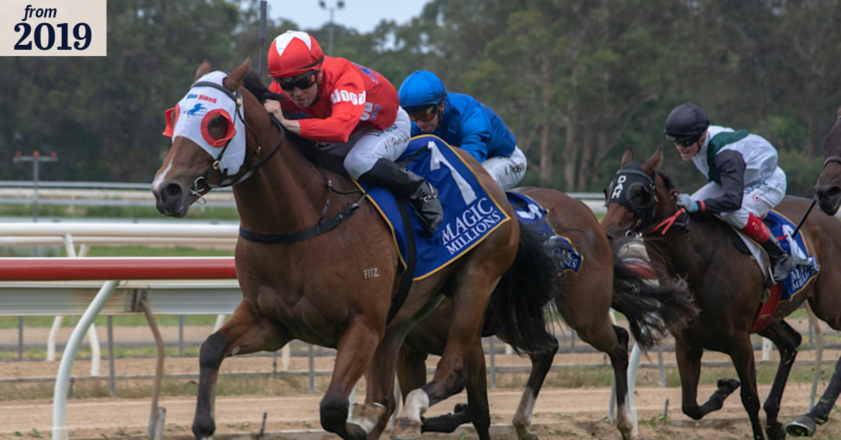 Race-by-race guide and tips for Wyong on Tuesday