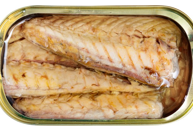 Tinned mackerel