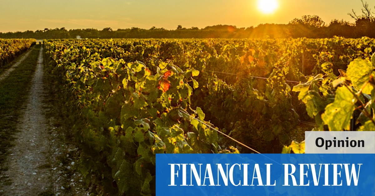 Why Penfolds returned to Bordeaux to create its latest red - Vimarsana News