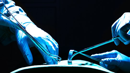 Transplant patients often wait for years for a donor organ to become available. In China, where the black market for human organs is rife, desperate patients can get organ transplants at short notice.