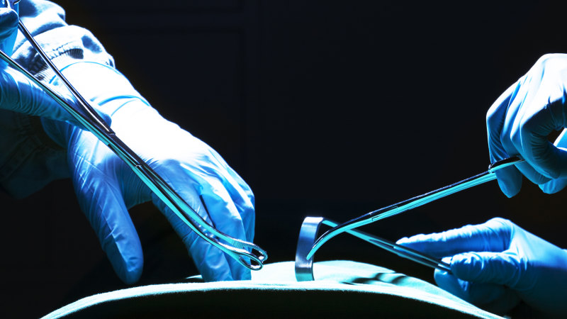Organ Harvesting In China