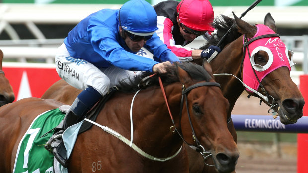 No bull: everything may line up for Osborne Bulls to break a group 1 duck at Randwick.