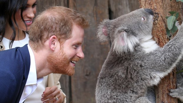 The Duke and Duchess of Sussex visit Taronga Zoo. 