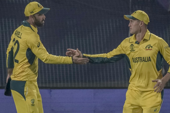 Maxwell and Labuschagne celebrate.