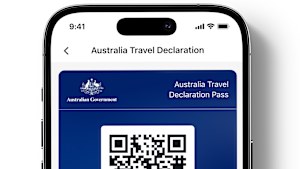 Digital IDs could save time and money when dealing with governments.