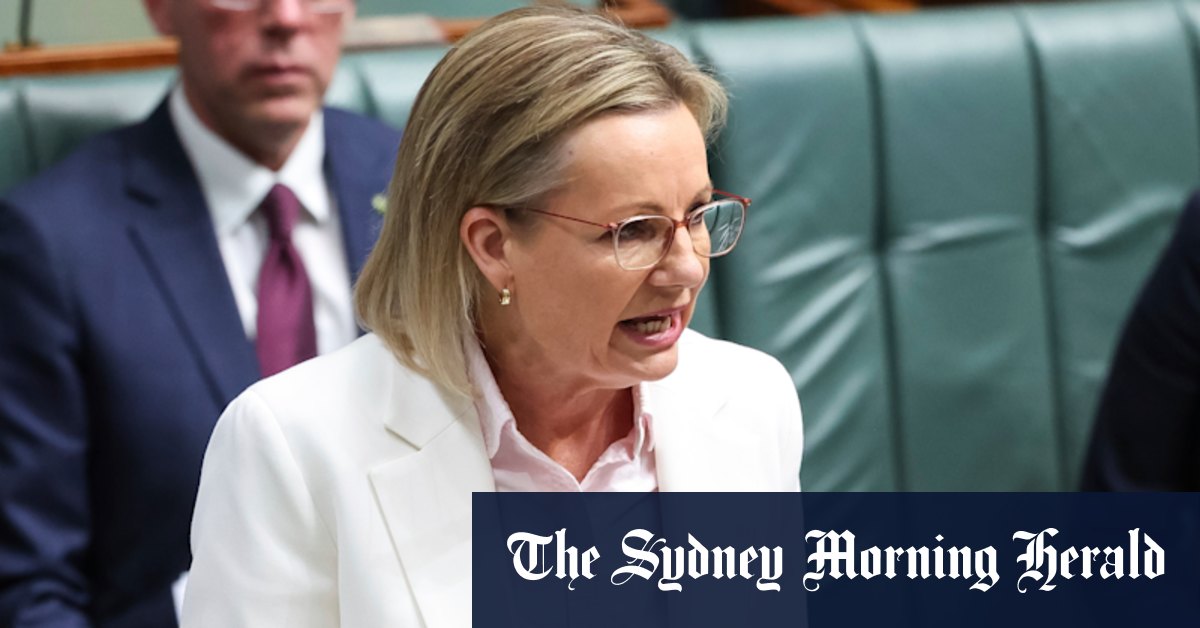 Coalition MPs battle to stay on message as Ley’s T-shirt attack dominates attention