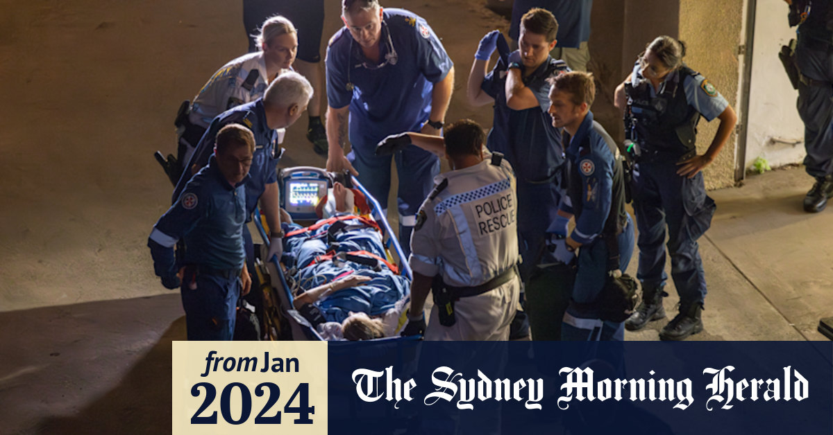 Elizabeth Bay shark attack: Woman receives severe injuries in Sydney’s ...